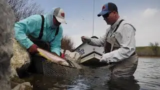 ORVIS - How to Fight Big Fish on Small Flies