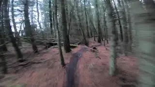 Caberston Forest (The Golfies) MTB - Jawbone - (30/12/18) - GoPro Hero 7 Black