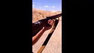 Uncle Beast shooting m44
