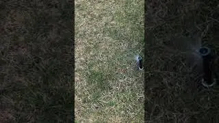 How Your Replacement Sprinkler Sprayer Head Should Work