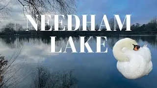 NEEDHAM LAKE WALK 4K 🚶‍♂️ POV Lakeside Walk In Suffolk