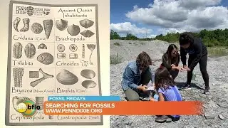 Fossil Friday &ndash; The Wally&rsquo;s visit Penn Dixie Fossil Park and Nature Reserve