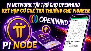 PI NETWORK T&Agrave;I TRỢ CHO OPENMIND - KẾT HỢP CƠ CHẾ TRẢ THƯỞNG CHO PIONEER
