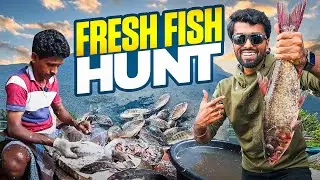 Live FISH Shopping in Poolampatti  | Dan JR Vlogs