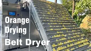 Efficient Orange Drying with IKE Automatic Spreading & Heat Pump System!