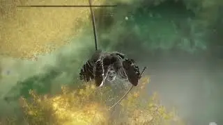Elden Ring Infinite Death Barrier