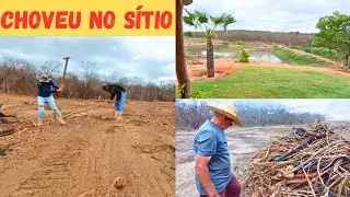 CHOVEU NO SÍTIO🙏 VEJAM SÓ O MILHO 🌾 Destocando Área do Barreiro Pra Plantar