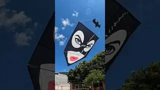 Sonho Pegar o PIP&Atilde;O DA MULHER GATO
