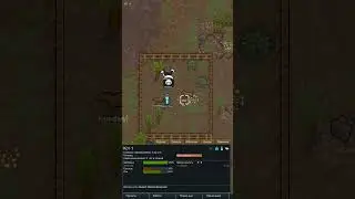 Утешение животными в Rimworld 1.6 Odyssey #rimworld