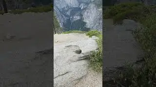 Epic Yosemite Waterfalls#Yosemite #Waterfall #NatureLovers #EpicView #TravelVibes #Adventure