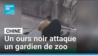 Chine : &agrave; Hangzhou, un ours noir attaque un gardien de zoo &bull; FRANCE 24