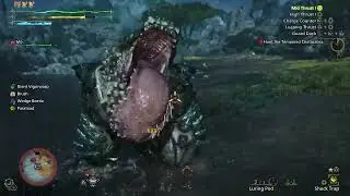 Hunt of the Day 1/27/26 Chatacabra VS  Lance