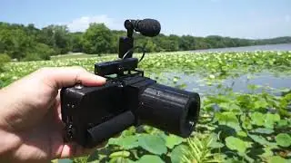 Lotus Bloom With Raspberry Pi Cameras Jul 02, 2024