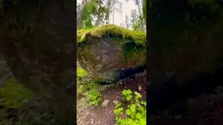 Massive Rock Along Washington Trail #nature #naturetrail #trending