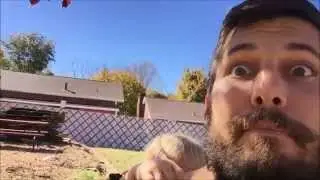 How to start a Back to Eden Garden