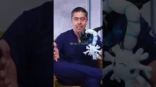 🧠⚡ &iquest;Un electroencefalograma puede confirmar si alguien tuvo epilepsia?