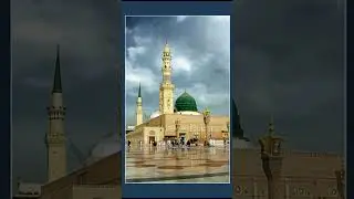 💚💚💚💚💚💚💚#studyquest #muhammadﷺ