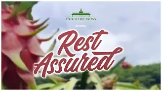Rest Assured | Executive News Feature