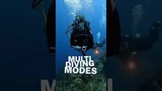 Diving in St. Lucia with the Shearwater Peregrine Dive Computer