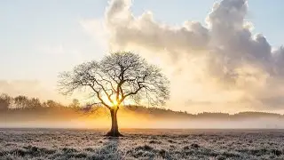 Deep Sleep | Meditation Music | Calming Music