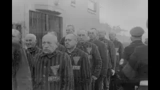 KZ&ndash;Sachsenhausen - ein KZ in Deutschland