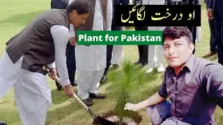 10 Billion Tree Tsunami || Plant for Pakistan  || Sub Apny Nazriya Pas Rakho