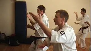 2010 А И Танюшкин Экзамен  требования 2 кю 2 Дан ч  2