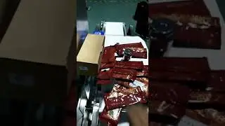Checkweigher long bag flap rejection test