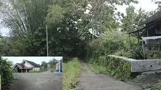 mohon maaf baru bisa aplot hari ini🙏🏻 jalan² di pagi hari suasana desa sangat sejuk sekali
