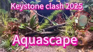 Конкурс акваскейпинга Keystone Clash 2025