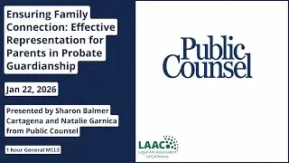 Ensuring Family Connection: Effective Representation for Parents in Probate Guardianship