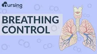 Breathing control (Nursing School Lessons)