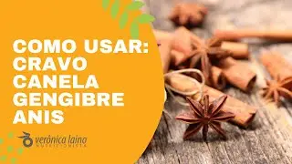 NUTRICIONISTA FALA SOBRE O USO DE ESPECIARIAS: CRAVO, CANELA, GENGIBRE E ANIS | Verônica Laino