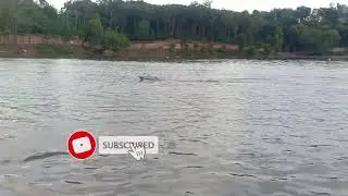 Rc Boat HandMade Batam // KEPRI
