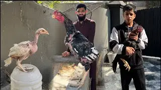 Daku ki halat kesi ho gai 😭