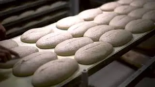 Racconti di grano ... Ri-Generazioni