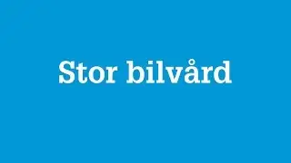 Stor bilv&aring;rd