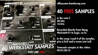 MOOG WERKSTATT SAMPLE LIBRARY bandcamp chiptune