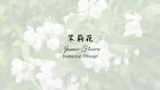 茉莉花 (Jasmine Flowers) [Guzheng Cover]
