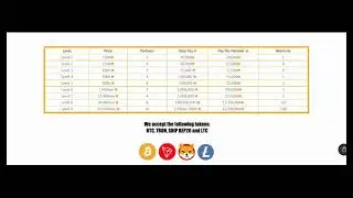 ShibAutoProfits Payplan