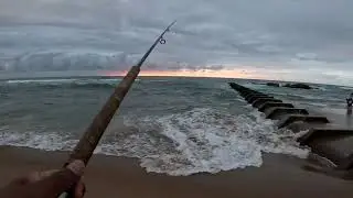 Fishing in Isipingo for Shad
