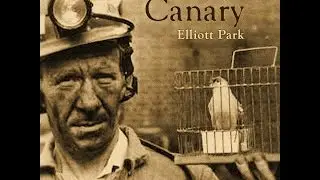 Canary