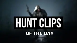 Hunt Clips of the day | 06.05.2024