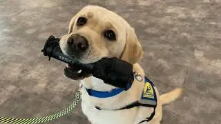 Northwest Region September 15, 2020 Veteran Service Dog Team Graduation