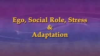 Ego, Social Role, Stress and Adaption