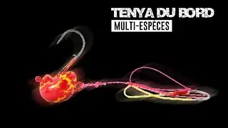 TENYA du BORD, La Meilleure TECHNIQUE en MER ??? bar et multi-espèces