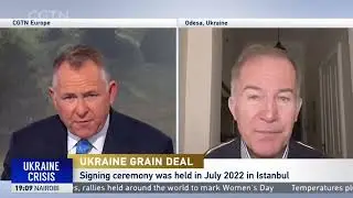 Black Sea grain deal: