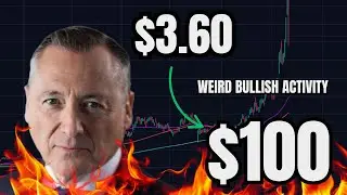 Rezolve AI Stock... Someone is REALLY Bullish.... (Weird Activity Alert)