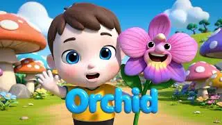 Fun Learning for Kids | Colors, Sea Animals, Flowers, Safety & Shapes