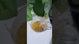 Ease digestion with this mango tea recipe!